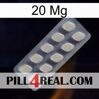 20 Mg 08